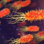 Microbiome