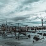 Viral eNews