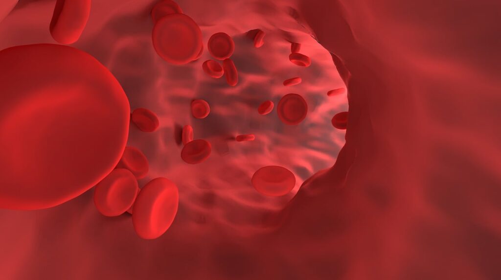 hemoglobin