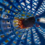 Viral eNews