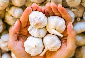 Here’s what happens when you chew 1 raw garlic clove at night for 21 days