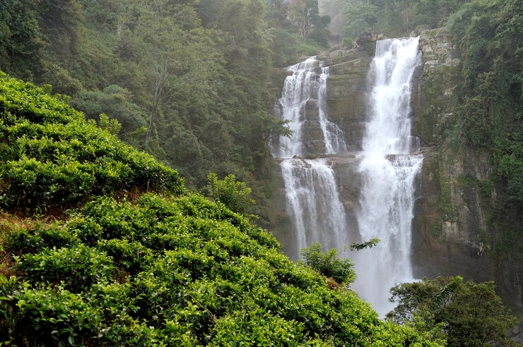 Sri Lanka