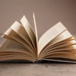 Marathi Language
