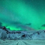 Viral eNews