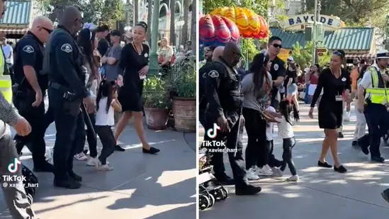 Disneyland arrest