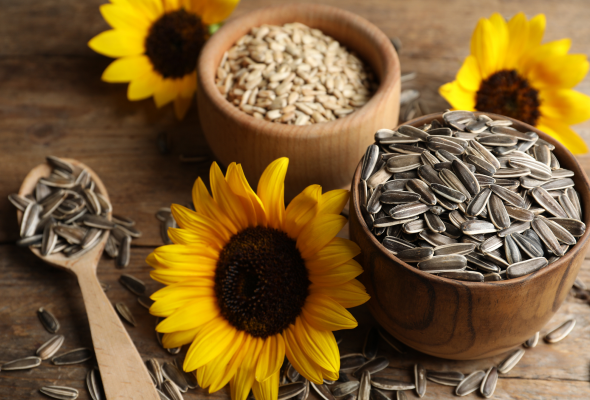 sunflower  seeds