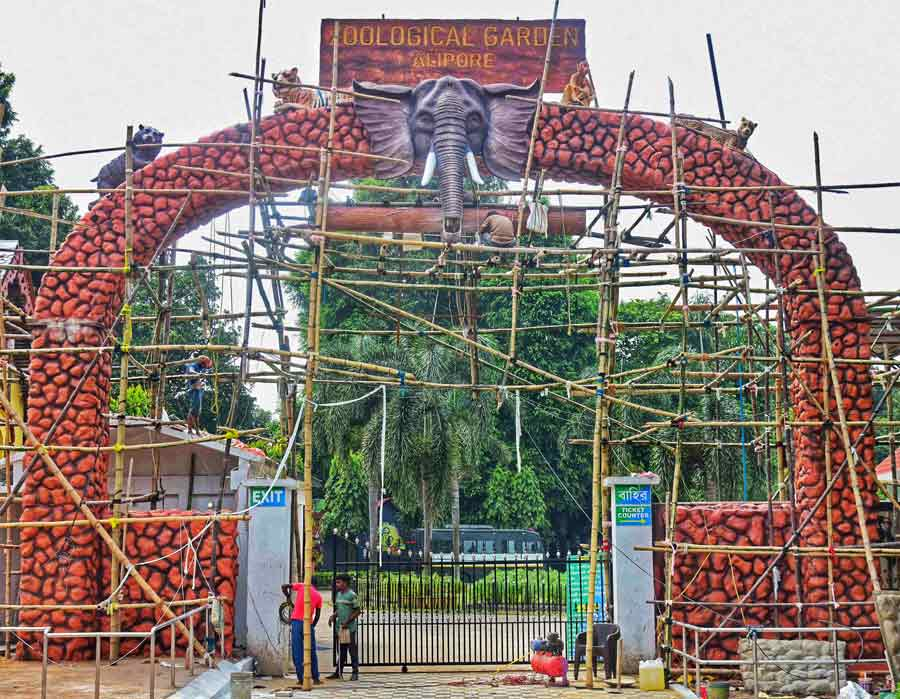 alipore zoo