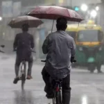 Viral eNews