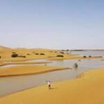 Viral eNews