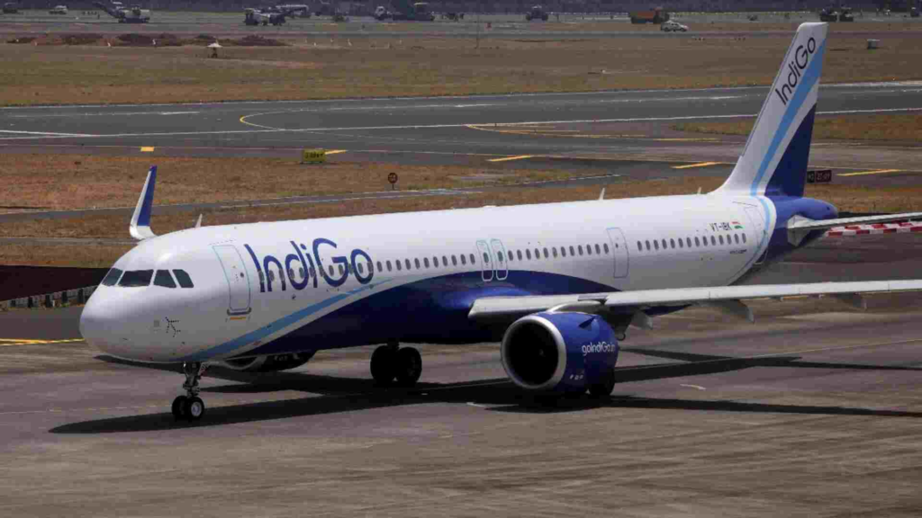 INDIGO