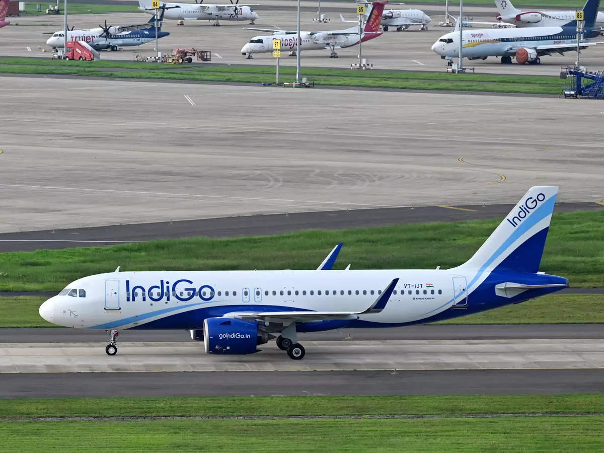 Indigo plane