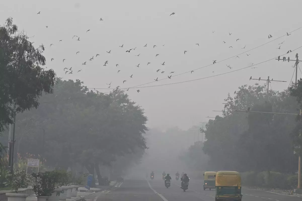 Delhi pollution
