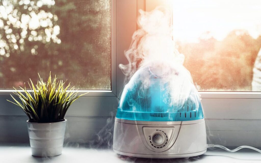 Winter skin humidifier