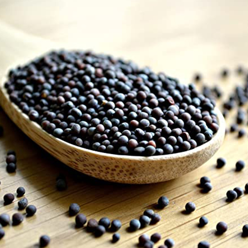 Heamp seeds protein
