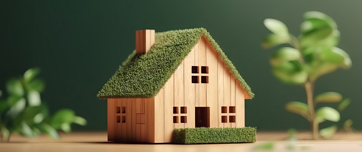 Eco Friendly Home