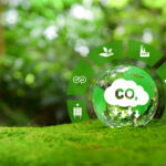 Carbon Footprint
