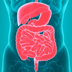 Gut Health