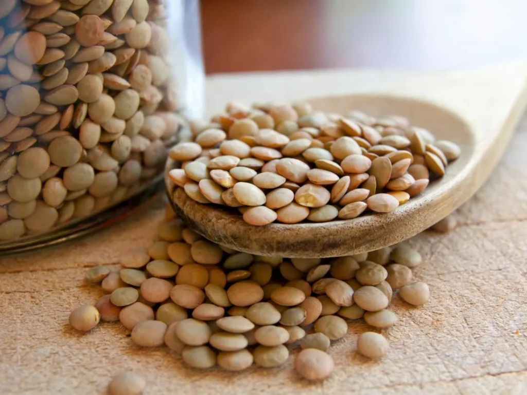 Lentils as protein