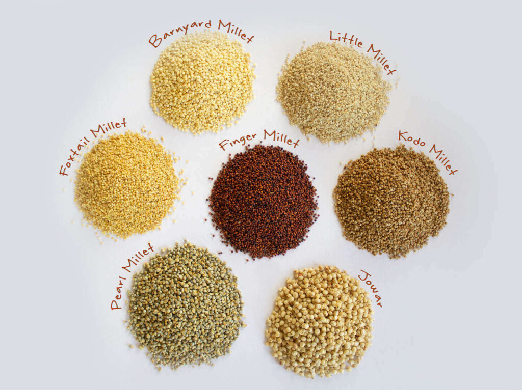 Millet foods