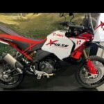 Hero Xpulse 421