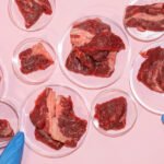 Lab Grown Meat