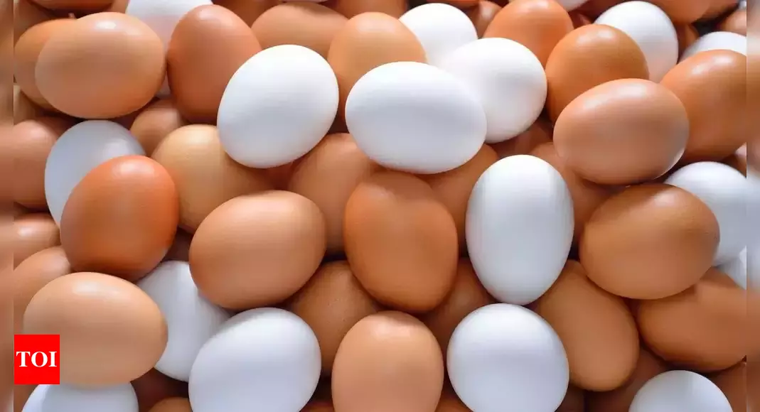 Egg