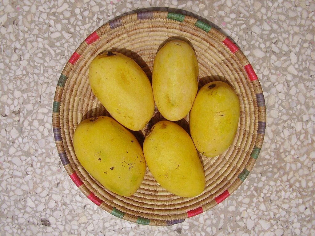 Chausna Mangoes