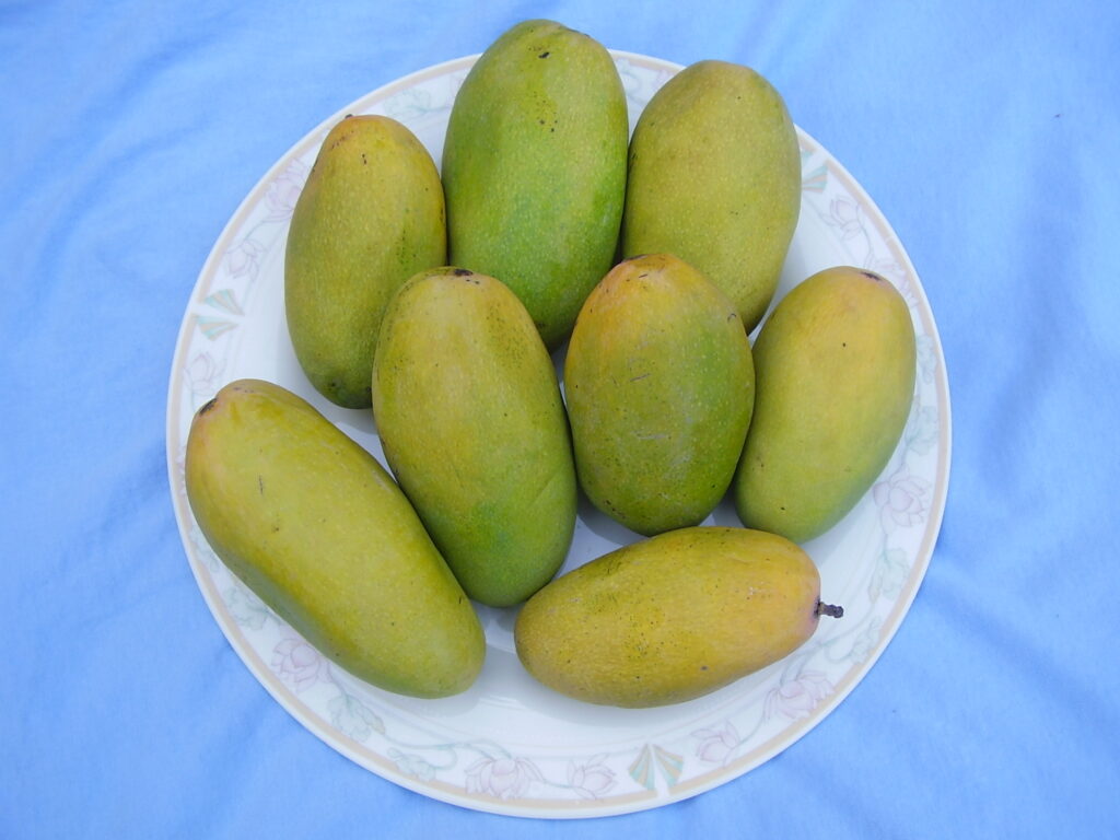 Mangoes