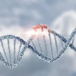Genetic Mutations