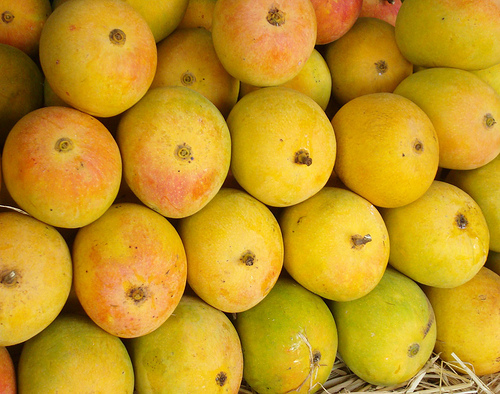 Alphonso mangoes 