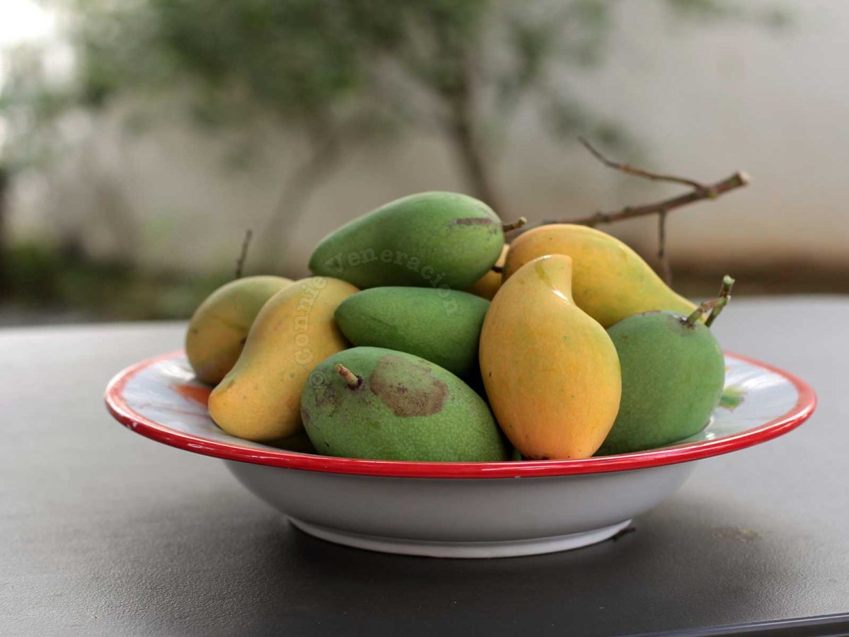 Mangoes