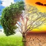 Global Warming